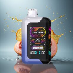 SMOK SPACEMAN SP40000 Puffs Blauwe Framboos IJs 1000mAh 20ml 50mg nicotine
